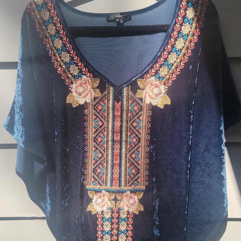 Andree by Unit XL Embroidered Velvet Boho Tunic Top